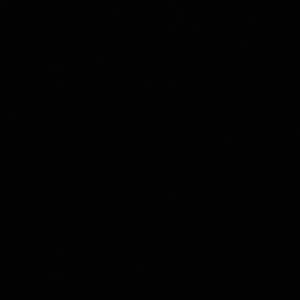 Meet your Posher, Ava